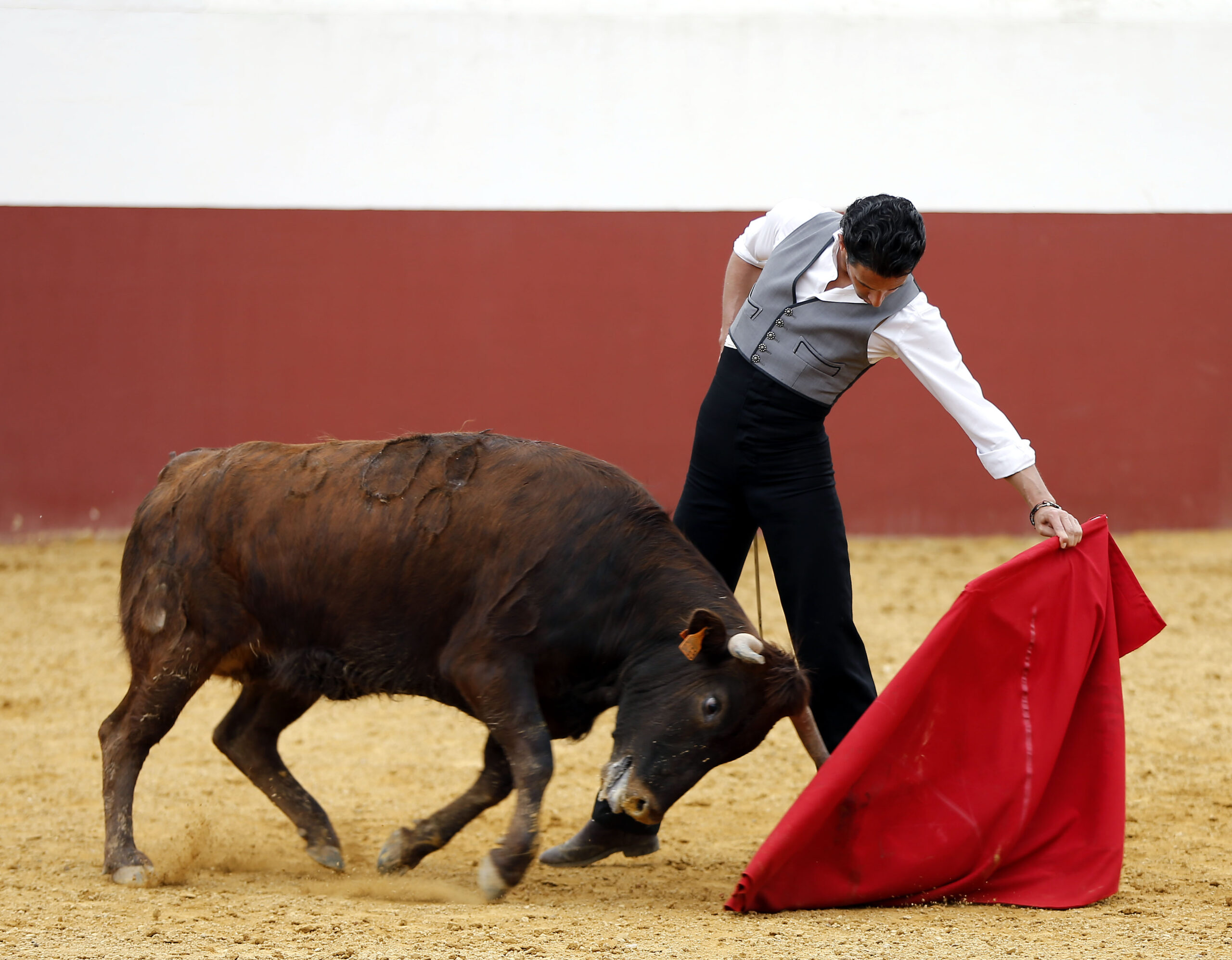 Iván Vicente, tentadero en Fuente Ymbro (Abril de 2018)