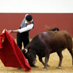 Iván Vicente, tentadero en Fuente Ymbro (Abril de 2018)
