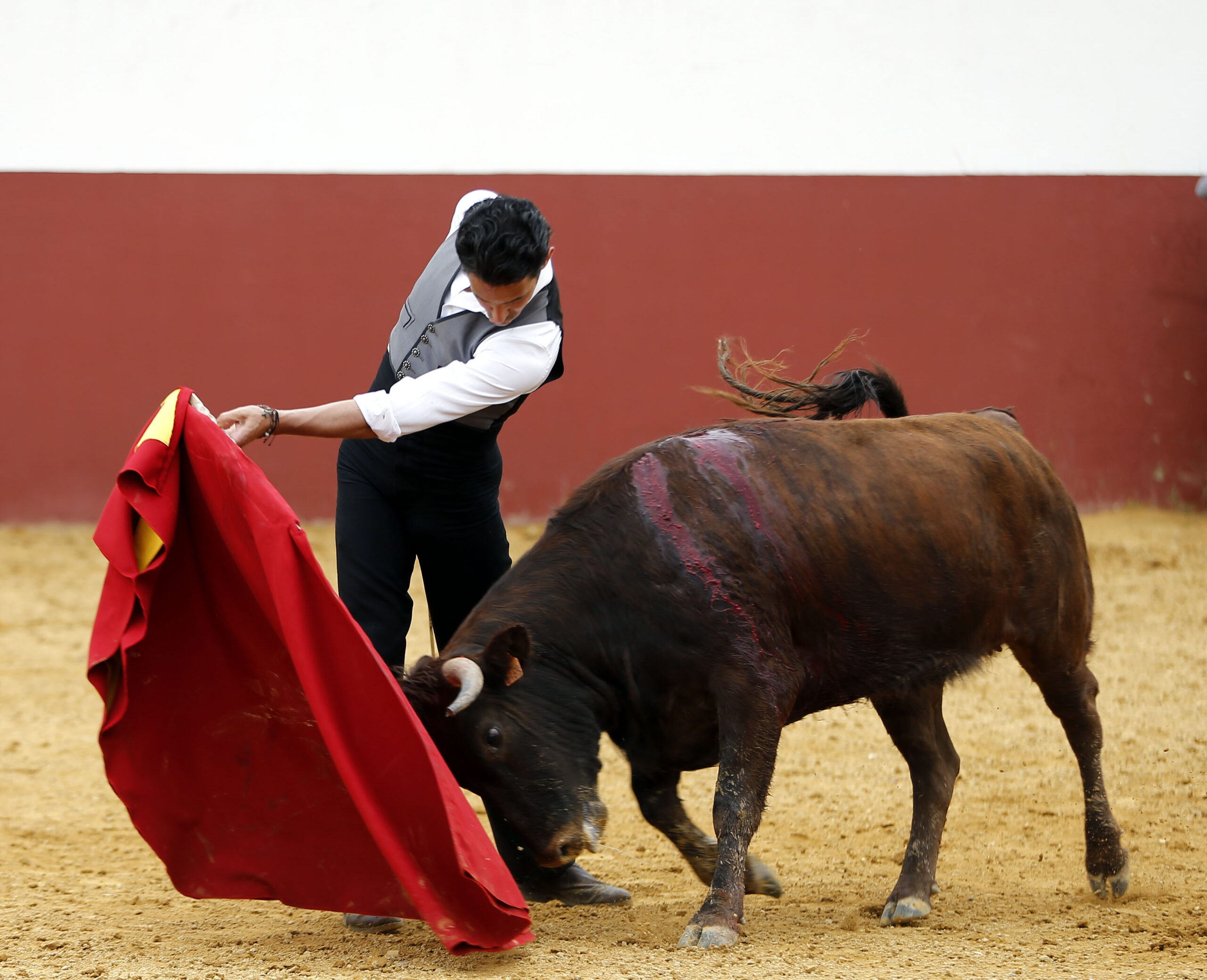 Iván Vicente, tentadero en Fuente Ymbro (Abril de 2018)