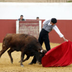 Iván Vicente, tentadero en Fuente Ymbro (Abril de 2018)