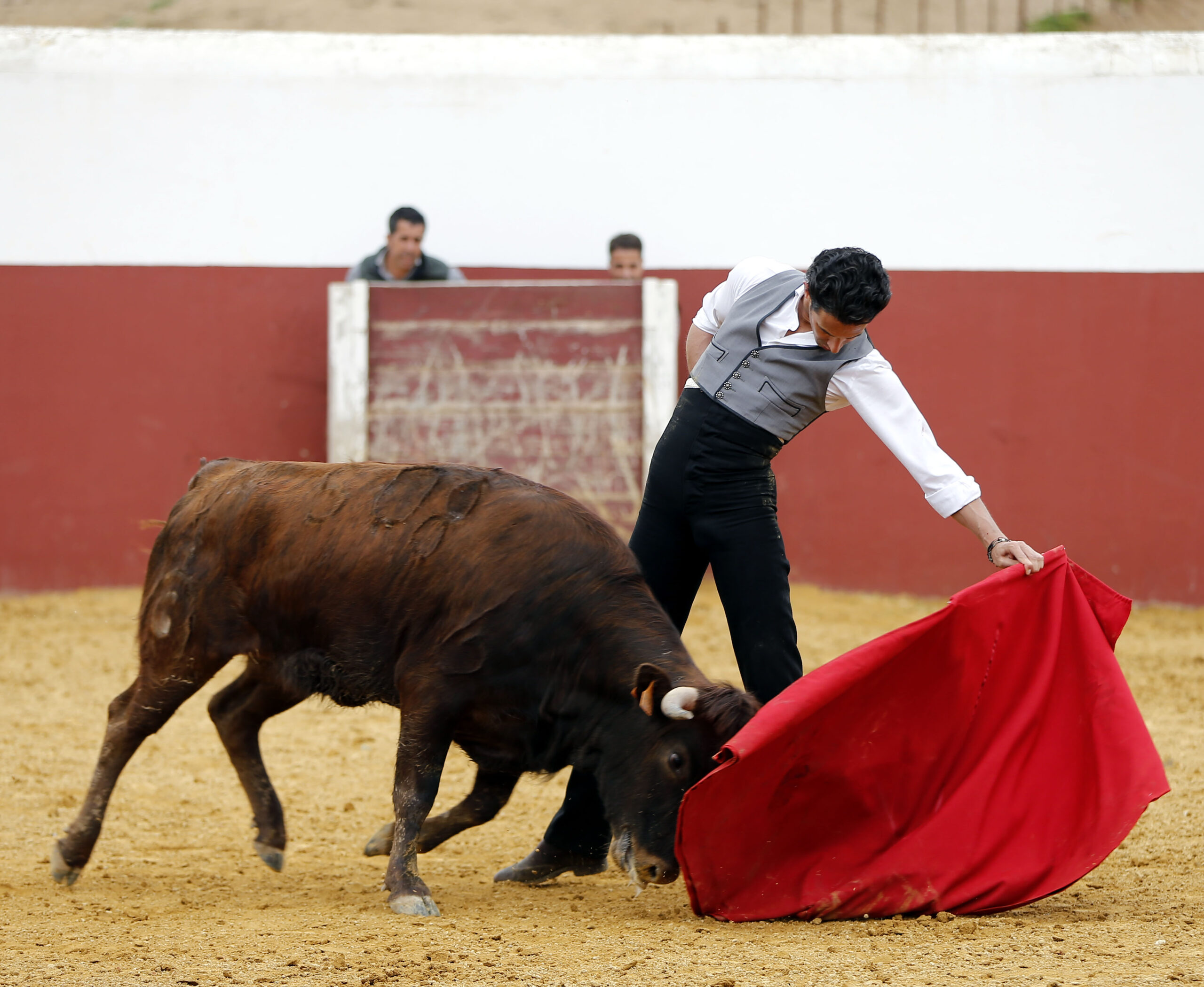 Iván Vicente, tentadero en Fuente Ymbro (Abril de 2018)