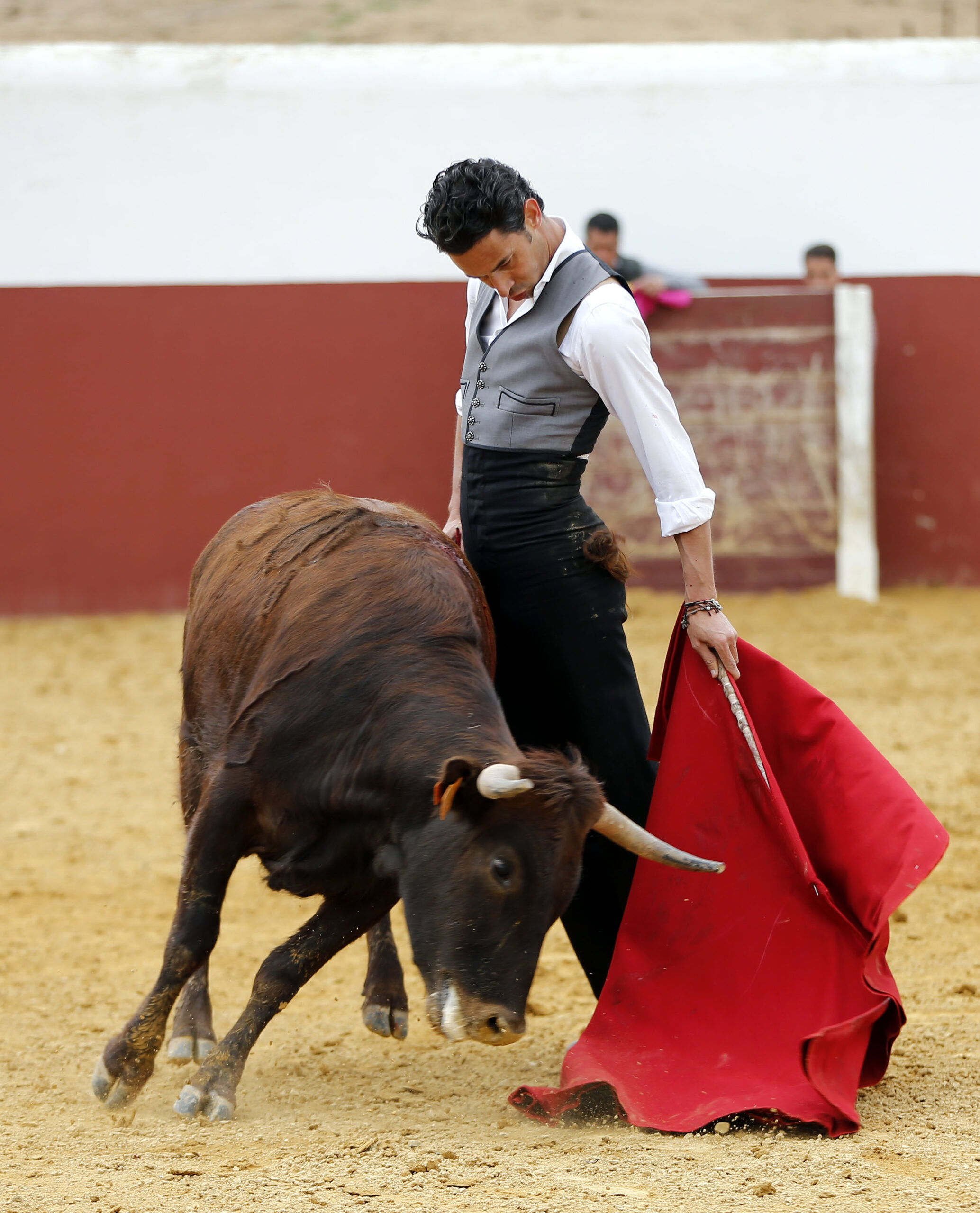 Iván Vicente, tentadero en Fuente Ymbro (Abril de 2018)