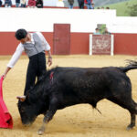 Iván Vicente, tentadero en Fuente Ymbro (Abril de 2018)