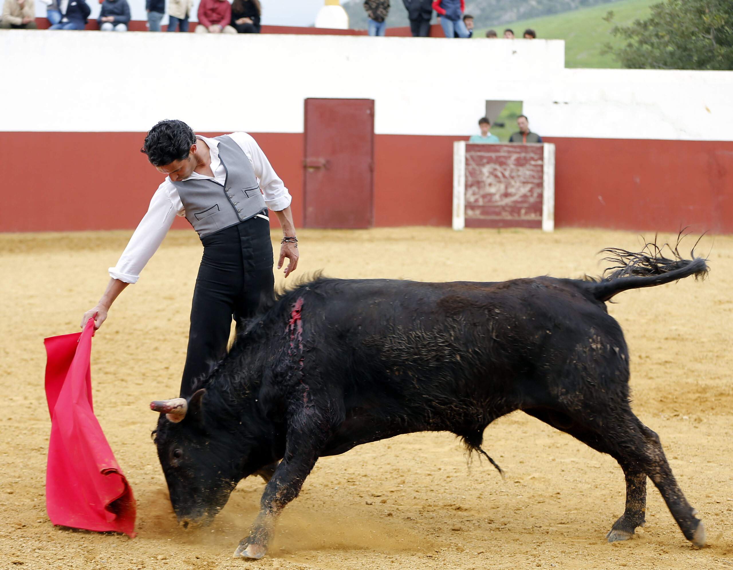 Iván Vicente, tentadero en Fuente Ymbro (Abril de 2018)