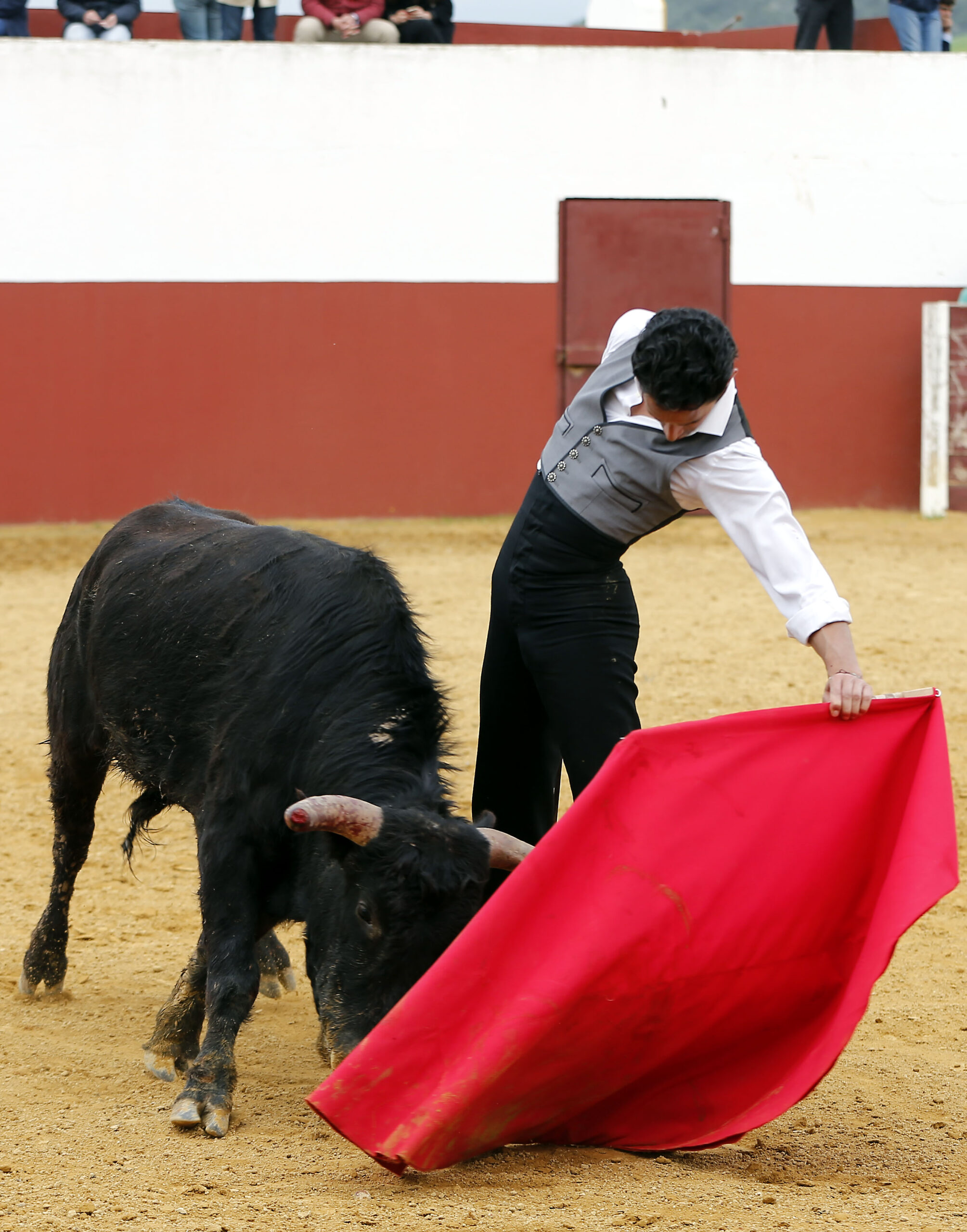 Iván Vicente, tentadero en Fuente Ymbro (Abril de 2018)