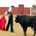 Iván Vicente, tentadero en Fuente Ymbro (Abril de 2018)