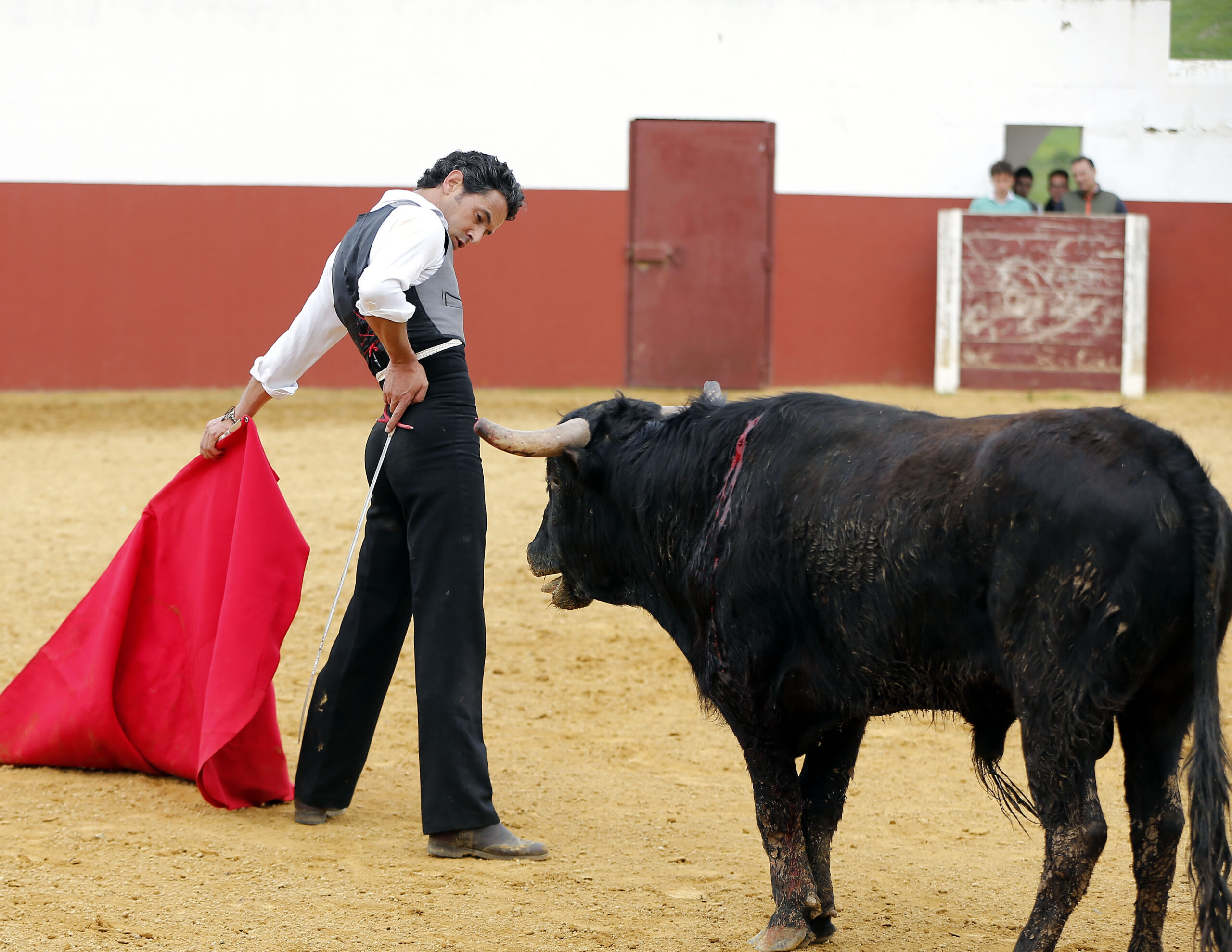 Iván Vicente, tentadero en Fuente Ymbro (Abril de 2018)