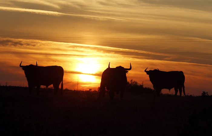 Madrid - Feria de San Isidro - Toros de Partido de Resina - Lunes 28 de mayo de 2018