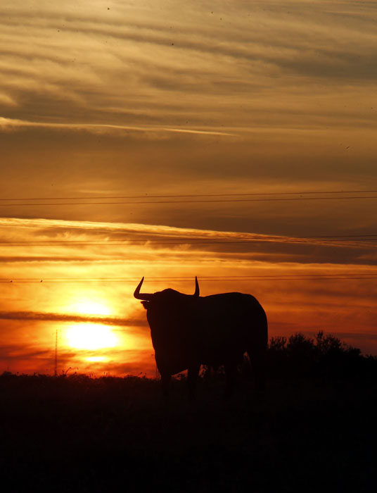 Madrid - Feria de San Isidro - Toros de Partido de Resina - Lunes 28 de mayo de 2018