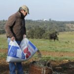 Cuadri, camada de 2018