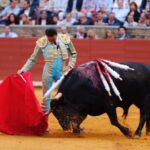 Córdoba - Feria de la Salud - Corrida de toros - Viernes 25 de mayo de 2018