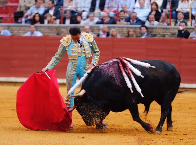 Córdoba - Feria de la Salud - Corrida de toros - Viernes 25 de mayo de 2018
