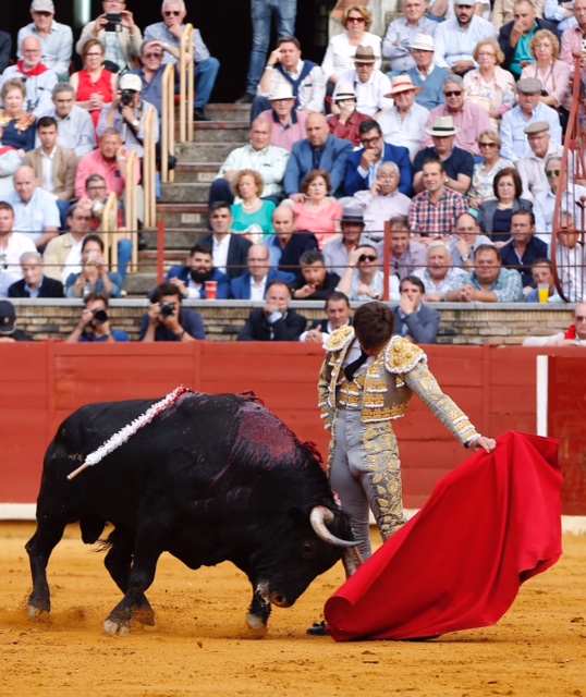Córdoba - Feria de la Salud - Corrida de toros - Viernes 25 de mayo de 2018