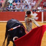 Córdoba - Feria de la Salud - Corrida de toros - Viernes 25 de mayo de 2018