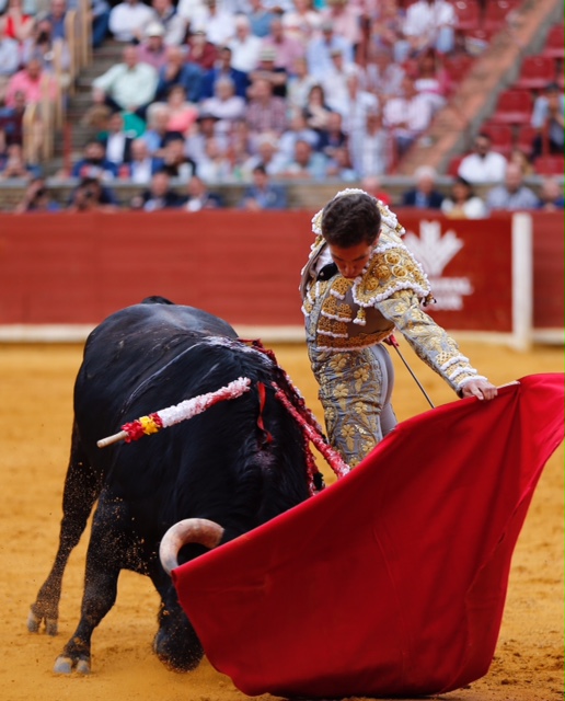 Córdoba - Feria de la Salud - Corrida de toros - Viernes 25 de mayo de 2018