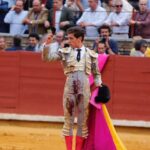 Córdoba - Feria de la Salud - Corrida de toros - Viernes 25 de mayo de 2018