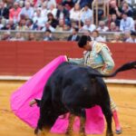 Córdoba - Feria de la Salud - Corrida de toros - Viernes 25 de mayo de 2018