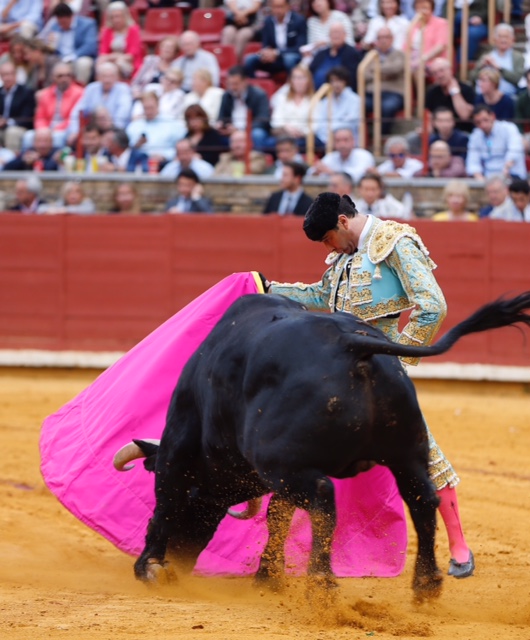 Córdoba - Feria de la Salud - Corrida de toros - Viernes 25 de mayo de 2018
