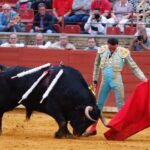 Córdoba - Feria de la Salud - Corrida de toros - Viernes 25 de mayo de 2018