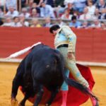 Córdoba - Feria de la Salud - Corrida de toros - Viernes 25 de mayo de 2018