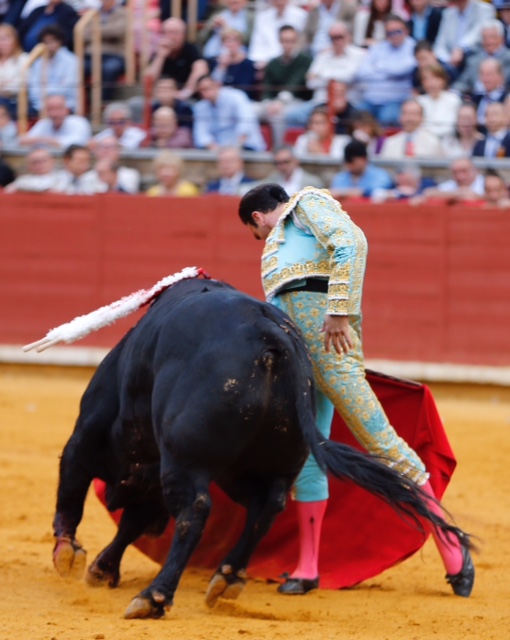 Córdoba - Feria de la Salud - Corrida de toros - Viernes 25 de mayo de 2018