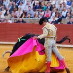 Córdoba - Feria de la Salud - Corrida de toros - Viernes 25 de mayo de 2018