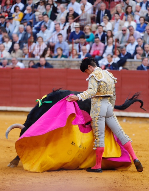 Córdoba - Feria de la Salud - Corrida de toros - Viernes 25 de mayo de 2018
