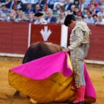 Córdoba - Feria de la Salud - Corrida de toros - Viernes 25 de mayo de 2018