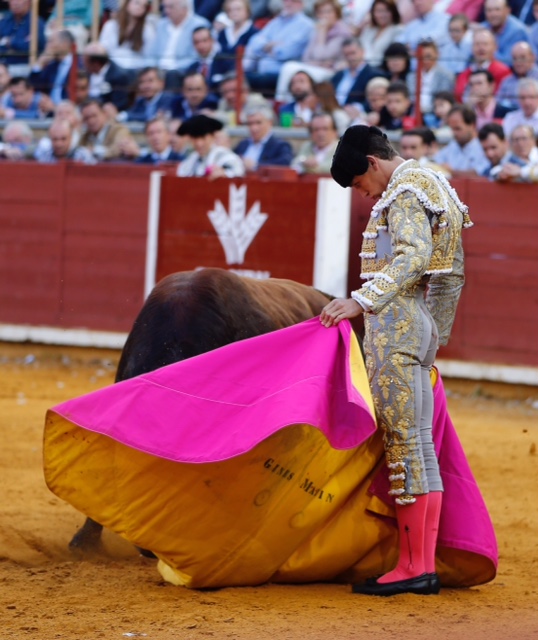 Córdoba - Feria de la Salud - Corrida de toros - Viernes 25 de mayo de 2018
