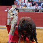 Córdoba - Feria de la Salud - Corrida de toros - Viernes 25 de mayo de 2018