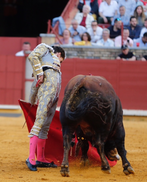 Córdoba - Feria de la Salud - Corrida de toros - Viernes 25 de mayo de 2018