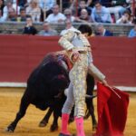 Córdoba - Feria de la Salud - Corrida de toros - Viernes 25 de mayo de 2018