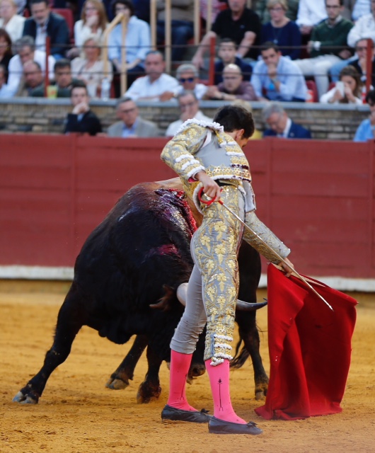 Córdoba - Feria de la Salud - Corrida de toros - Viernes 25 de mayo de 2018
