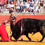 Córdoba - Feria de la Salud - Corrida de toros - Sábado 26 de mayo de 2018