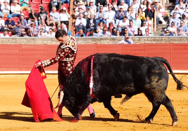 Córdoba - Feria de la Salud - Corrida de toros - Sábado 26 de mayo de 2018
