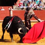 Córdoba - Feria de la Salud - Corrida de toros - Sábado 26 de mayo de 2018