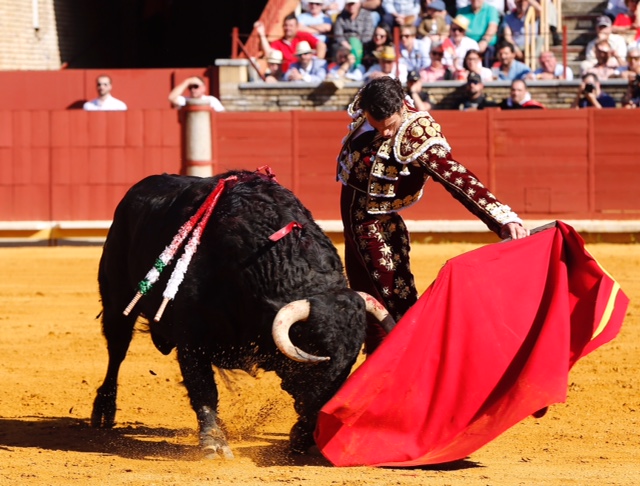 Córdoba - Feria de la Salud - Corrida de toros - Sábado 26 de mayo de 2018