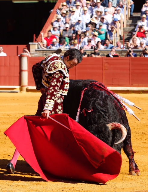 Córdoba - Feria de la Salud - Corrida de toros - Sábado 26 de mayo de 2018