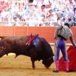 Córdoba - Feria de la Salud - Corrida de toros - Sábado 26 de mayo de 2018