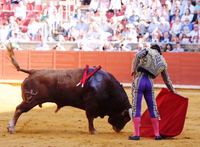 Córdoba - Feria de la Salud - Corrida de toros - Sábado 26 de mayo de 2018