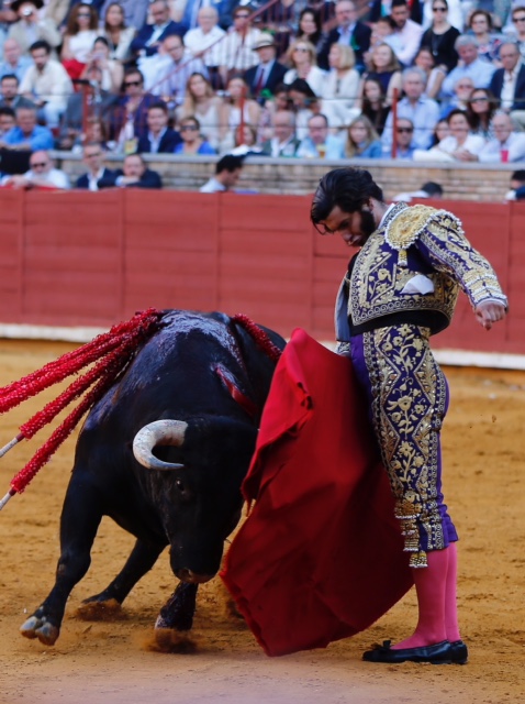 Córdoba - Feria de la Salud - Corrida de toros - Sábado 26 de mayo de 2018
