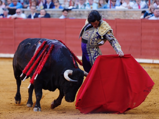 Córdoba - Feria de la Salud - Corrida de toros - Sábado 26 de mayo de 2018