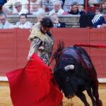Córdoba - Feria de la Salud - Corrida de toros - Sábado 26 de mayo de 2018