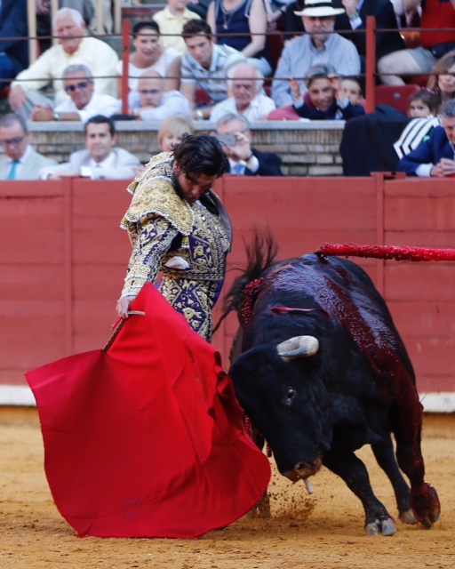 Córdoba - Feria de la Salud - Corrida de toros - Sábado 26 de mayo de 2018