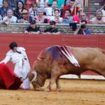 Córdoba - Feria de la Salud - Corrida de toros - Sábado 26 de mayo de 2018
