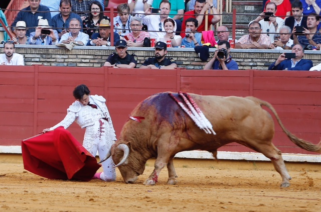 Córdoba - Feria de la Salud - Corrida de toros - Sábado 26 de mayo de 2018