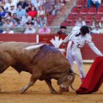 Córdoba - Feria de la Salud - Corrida de toros - Sábado 26 de mayo de 2018
