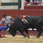 Valencia - Novillada Picada - Sábado 12 de mayo de 2018