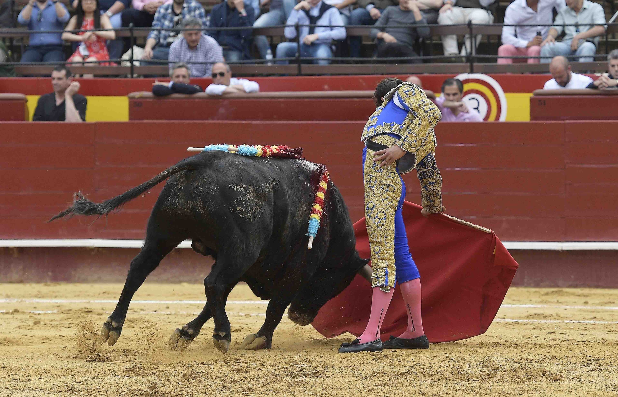 Valencia - Novillada Picada - Sábado 12 de mayo de 2018