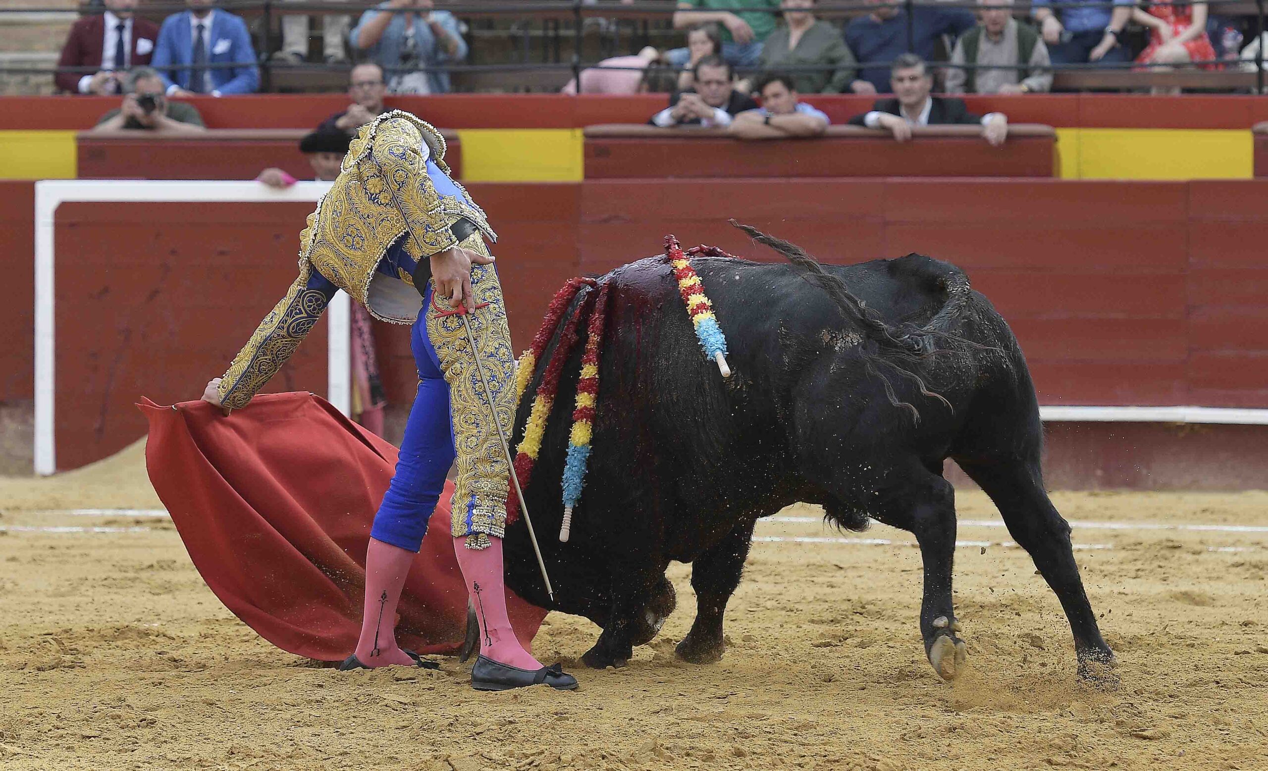Valencia - Novillada Picada - Sábado 12 de mayo de 2018